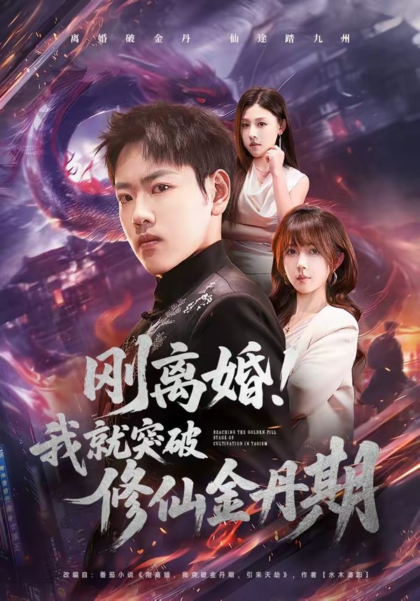 刚离婚！我就突破修仙金丹期
